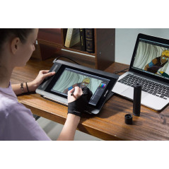 XP-Pen Artist 12, the graphics tablet