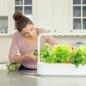 Click & Grow Smart Garden 9: Indoor Herb Garden Kit - Grow Fresh Food at Home, Year-Round! Click & Grow Smart Garden 9: Indoor Herb Garden Kit - Grow Fresh Food at Home, Year-Round!
