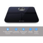 YUNMAI Smart Scale: Track Body Composition & Reach Your Fitness Goals! YUNMAI Smart Scale: Track Body Composition & Reach Your Fitness Goals!