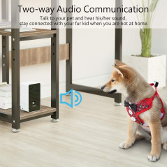 Iseebiz Pet Cam, la caméra distributeur