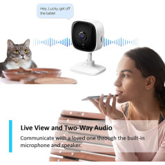 Tapo C100, la caméra de surveillance Wifi