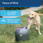 PetSafe Automatic Dog Ball Launcher: Keep Your Pup Active & Entertained! PetSafe Automatic Dog Ball Launcher: Keep Your Pup Active & Entertained!