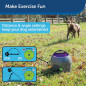 Lanceur de Balles Automatique PetSafe : LAmi Infatigable de Votre Chien !