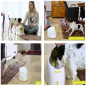 Lanceur de Balles Automatique AFP : Divertissement Infini pour Votre Chien ! 3 Distances, Inclus 3 Balles Lanceur de Balles Automatique AFP : Divertissement Infini pour Votre Chien ! 3 Distances, Inclus 3 Balles