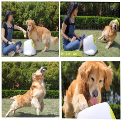 AFP Hyper Fetch, le dispositif interactif pour chien
