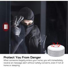 Tolviviov, an alarm system for the house