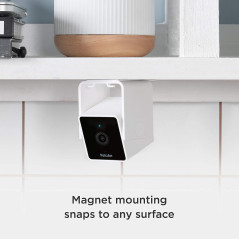 Petcube, la caméra pour chien et chat