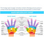 Koovon Deep Tissue Massage Gun: Muscle Relief & Recovery - Plus FREE Hand Massager!