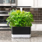 AeroGarden Harvest: Grow Fresh Herbs & Veggies Indoors All Year! Enjoy Delicious Homegrown Flavors Now! AeroGarden Harvest: Grow Fresh Herbs & Veggies Indoors All Year! Enjoy Delicious Homegrown Flavors Now!