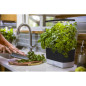 AeroGarden Harvest: Grow Fresh Herbs & Veggies Indoors All Year! Enjoy Delicious Homegrown Flavors Now! AeroGarden Harvest: Grow Fresh Herbs & Veggies Indoors All Year! Enjoy Delicious Homegrown Flavors Now!
