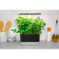 AeroGarden Harvest: Grow Fresh Herbs & Veggies Indoors All Year! Enjoy Delicious Homegrown Flavors Now! AeroGarden Harvest: Grow Fresh Herbs & Veggies Indoors All Year! Enjoy Delicious Homegrown Flavors Now!
