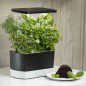 AeroGarden Harvest: Grow Fresh Herbs & Veggies Indoors All Year! Enjoy Delicious Homegrown Flavors Now! AeroGarden Harvest: Grow Fresh Herbs & Veggies Indoors All Year! Enjoy Delicious Homegrown Flavors Now!