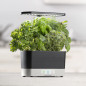 AeroGarden Harvest: Grow Fresh Herbs & Veggies Indoors All Year! Enjoy Delicious Homegrown Flavors Now! AeroGarden Harvest: Grow Fresh Herbs & Veggies Indoors All Year! Enjoy Delicious Homegrown Flavors Now!