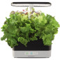 AeroGarden Harvest: Grow Fresh Herbs & Veggies Indoors All Year! Enjoy Delicious Homegrown Flavors Now! AeroGarden Harvest: Grow Fresh Herbs & Veggies Indoors All Year! Enjoy Delicious Homegrown Flavors Now!