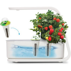 AeroGarden Sprout: Grow Fresh Herbs & Veggies Indoors - Year-Round Gardening Made Easy!