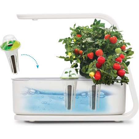 AeroGarden Sprout: Votre Jardin dIntérieur LED pour Herbes Fraîches, Toute lAnnée!