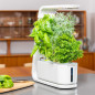 AeroGarden Sprout: Votre Jardin dIntérieur LED pour Herbes Fraîches, Toute lAnnée! AeroGarden Sprout: Votre Jardin dIntérieur LED pour Herbes Fraîches, Toute lAnnée!