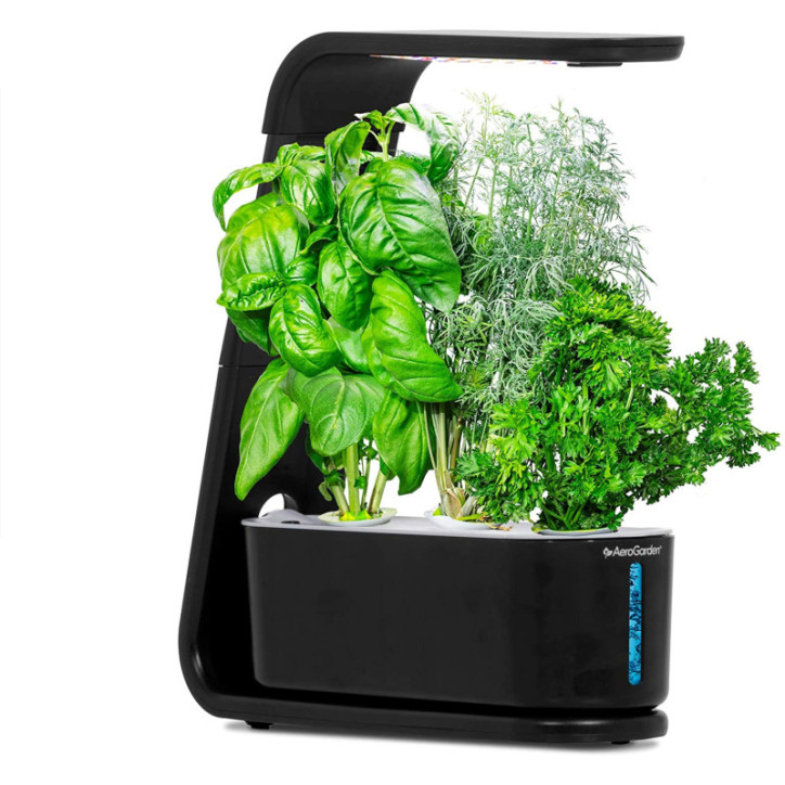 AeroGarden Sprout: Grow Fresh Herbs & Veggies Indoors - No Soil Needed! AeroGarden Sprout: Grow Fresh Herbs & Veggies Indoors - No Soil Needed!