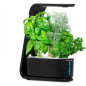 AeroGarden Sprout: Grow Fresh Herbs & Veggies Indoors - No Soil Needed! AeroGarden Sprout: Grow Fresh Herbs & Veggies Indoors - No Soil Needed!