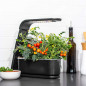 AeroGarden Sprout: Grow Fresh Herbs & Veggies Indoors - No Soil Needed! AeroGarden Sprout: Grow Fresh Herbs & Veggies Indoors - No Soil Needed!