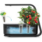 AeroGarden Sprout: Grow Fresh Herbs & Veggies Indoors - No Soil Needed! AeroGarden Sprout: Grow Fresh Herbs & Veggies Indoors - No Soil Needed!
