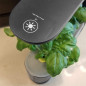 AeroGarden Sprout: Grow Fresh Herbs & Veggies Indoors - No Soil Needed! AeroGarden Sprout: Grow Fresh Herbs & Veggies Indoors - No Soil Needed!
