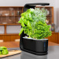 AeroGarden Sprout: Grow Fresh Herbs & Veggies Indoors - No Soil Needed! AeroGarden Sprout: Grow Fresh Herbs & Veggies Indoors - No Soil Needed!