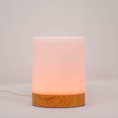 Single Friendship Lamp by LuvLink™ (one lamp only)