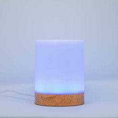 LuvLink Friendship Lamps: Stay Connected & Send Love with a Tap! (No Subscription)