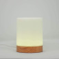 LuvLink Friendship Lamps: Stay Connected with Color! Long Distance Touch Lamps for Loved Ones Worldwide LuvLink Friendship Lamps: Stay Connected with Color! Long Distance Touch Lamps for Loved Ones Worldwide