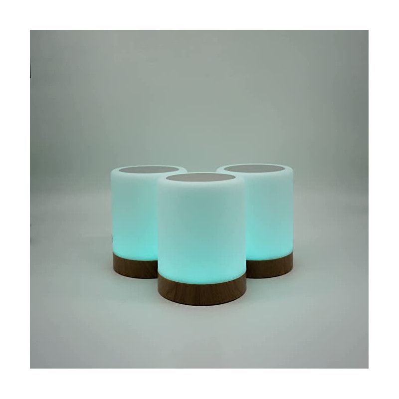 copy of Friendship Lamp by LuvLink™ (two lamp only)