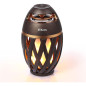 DIKAOU Flame Speaker: Bluetooth Outdoor Speaker with LED Torch Light & HD Audio DIKAOU Flame Speaker: Bluetooth Outdoor Speaker with LED Torch Light & HD Audio