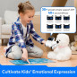 Codey Rocky: The Fun Way to Learn Coding! Interactive Robot for Kids 6+, STEM Education Toy Codey Rocky: The Fun Way to Learn Coding! Interactive Robot for Kids 6+, STEM Education Toy