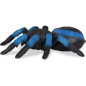 Terra by Battat RC Tarantula: Remote Control Spider Toy with LED Eyes - Blue