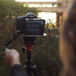 Parrot Teleprompter Kit: Film Like a Pro with Your Smartphone! Portable, Easy Setup & Bluetooth Remote Parrot Teleprompter Kit: Film Like a Pro with Your Smartphone! Portable, Easy Setup & Bluetooth Remote