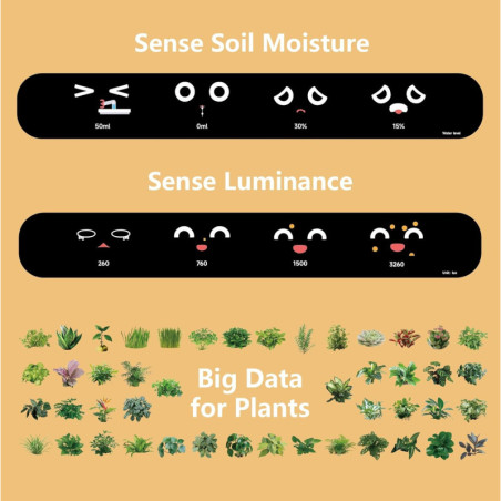Jardinière Intelligente PLANTSIO : Votre Expert en Plantes dIntérieur avec Émojis ! 🌱