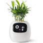 Ivy Smart Pet Planter: Grow Smarter with Emoji Feedback & Auto Watering! Perfect Desk Plant Companion