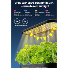 Inbloom 12 Pods Système Hydroponique  Kit de Jardinage Intérieur