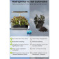 Inbloom Jardin Hydroponique dIntérieur: 12 Pots, Lumière LED Ajustable & Arrosage Automatique – Cultivez Facilement! Inbloom Jardin Hydroponique dIntérieur: 12 Pots, Lumière LED Ajustable & Arrosage Automatique – Cultivez Facilement!