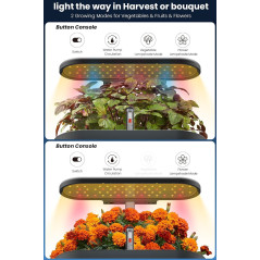 Inbloom 12 Pods Système Hydroponique  Kit de Jardinage Intérieur