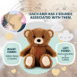Gemma Joy : LOurs Veilleuse Anti-Pleurs - Lumière Douce, Berceuses & Sons Apaisants pour Bébé Gemma Joy : LOurs Veilleuse Anti-Pleurs - Lumière Douce, Berceuses & Sons Apaisants pour Bébé
