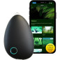 Sensate: Your Personal Stress Relief Device - Calm, Focus, & Better Sleep Sensate: Your Personal Stress Relief Device - Calm, Focus, & Better Sleep