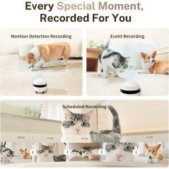 Enabot EBO ROLA Mini 2K Camera Robot with 25-Day Battery