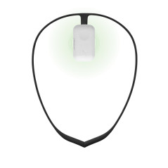 Upright Bundle : Correcteur de posture pour les douleurs lombaires