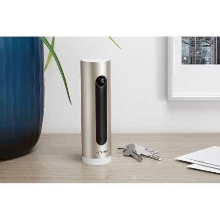 Netatmo Smart Indoor Camera: Face Recognition, No Subscription Fees, Peace of Mind