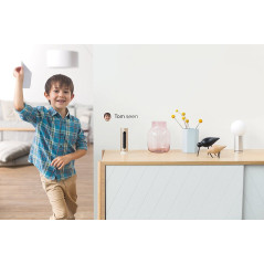 Welcome, the Netatmo Security Face Recognition Camera