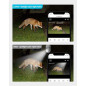 LaView 4MP Bulb Camera: See Everything, Day & Night! WiFi, Motion Tracking, & Easy Install LaView 4MP Bulb Camera: See Everything, Day & Night! WiFi, Motion Tracking, & Easy Install