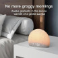 Housbay Sunrise Alarm Clock: Wake Up Naturally with Gentle Light & Soothing Sounds