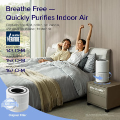 Purificateur d'air LEVOIT HEPA 1074 ft² - Anti allergie, poussière