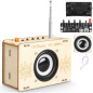 Build Your Own FM Radio Kit - STEM Projects for Teens & Kids Ages 8-16 - Fun Electronic Circuit Science Toy!